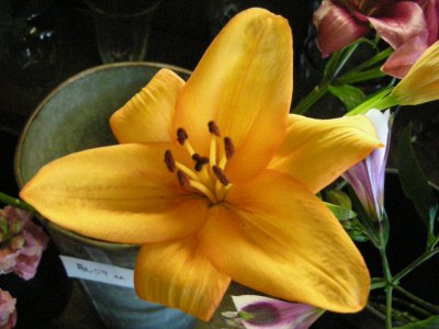 0207/FlowersOnElmwood0213.jpg 0207/FlowersOnElmwood0213.jpg