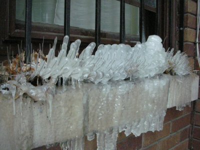 0207/PigeonProtector20213.jpg 0207/PigeonProtector20213.jpg
