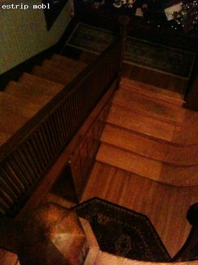0210/photo_4b710cce804b0_0209.jpg