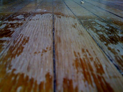 0308/ScratchyFloor0330.jpg