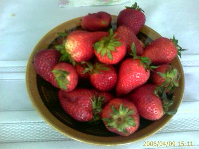 0406/strawberries1339.jpg 0406/strawberries1339.jpg