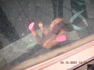 0407/DollyInTheWindow0410.jpg