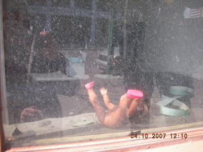 0407/DollyInTheWindow20410.jpg