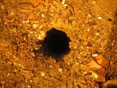 0407/HoleInTheGround20414.jpg