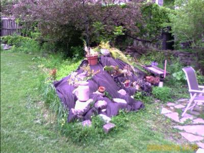 0506/backyard2042.jpg