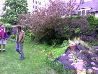 0506/backyard22042.jpg