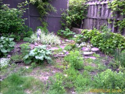 0506/backyard32042.jpg
