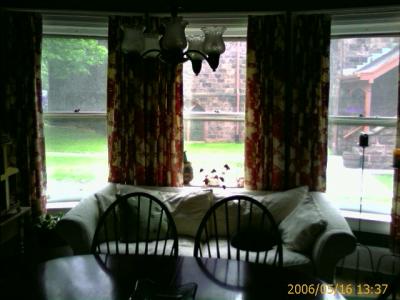 0506/diningRoomWindow2042.jpg