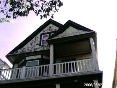 0506/housePaint24738.jpg