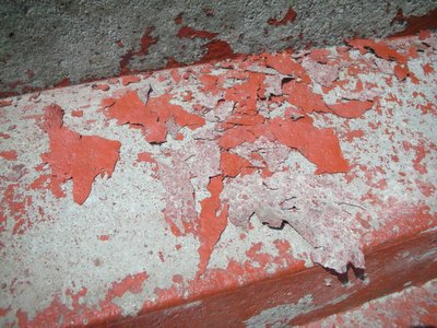 0507/PaintPeeling0513.jpg 0507/PaintPeeling0513.jpg