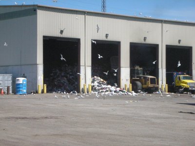 0507/PilesOfTrash0503.jpg 0507/PilesOfTrash0503.jpg