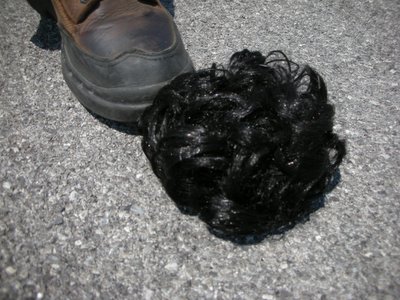0507/Toupee0513.jpg 0507/Toupee0513.jpg