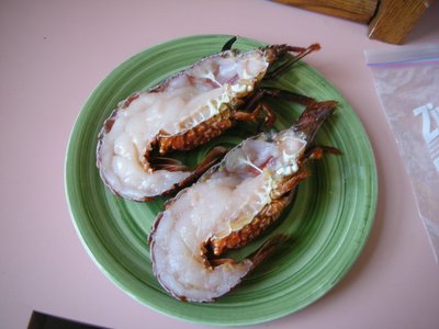 0507/ViscoMothersDayLobster0513.jpg 0507/ViscoMothersDayLobster0513.jpg