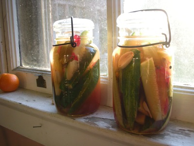 0508/PaulViscosPickles0504.jpg