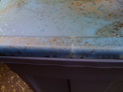 0508/TheContainer0503.jpg