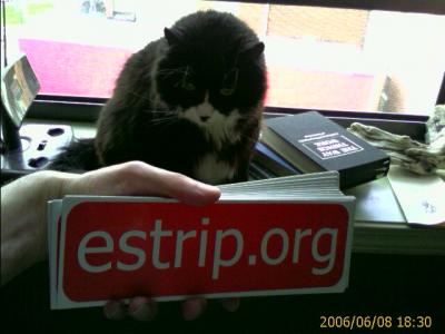 0606/catAtFriends2112.jpg