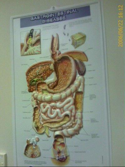 0606/intestinalWoes1851.jpg