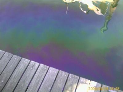 0606/oilInWater22126.jpg