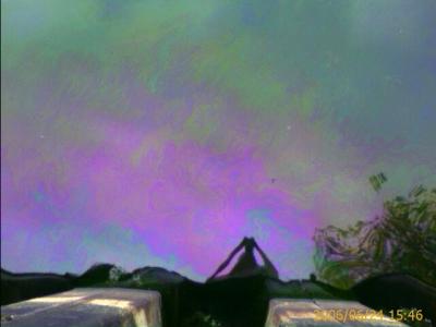 0606/oilInwater32126.jpg