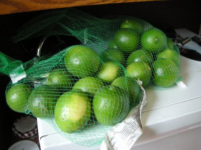 0607/Limes0602.jpg