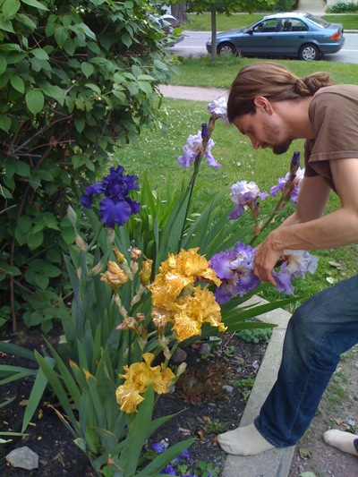 0608/PrettyIrises0607.jpg 0608/PrettyIrises0607.jpg
