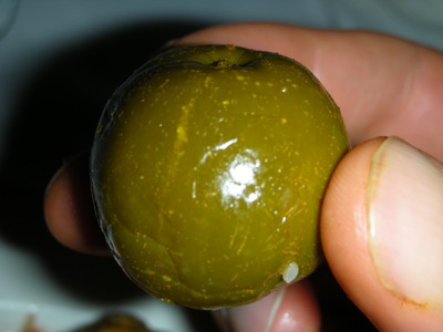 0608/TheMysteryFruit0602.jpg 0608/TheMysteryFruit0602.jpg