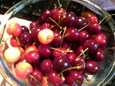 0707/Cherries0704.jpg 0707/Cherries0704.jpg