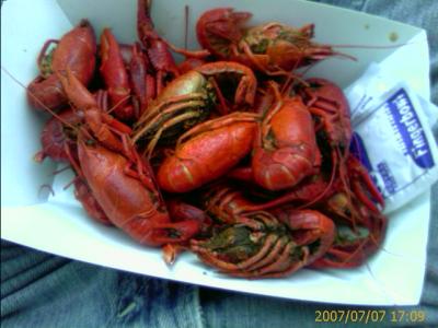 0707/CrawDads20708.jpg 0707/CrawDads20708.jpg