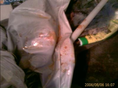 0806/24LinwoodPipes20646.jpg