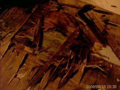 0806/bathroomFloorSplintered5346.jpg