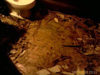 0806/bathroomFloorTearUp5346.jpg