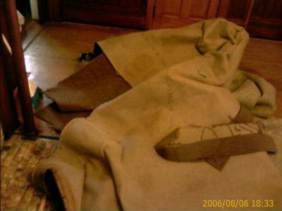 0806/nastyCatPissRug0646.jpg
