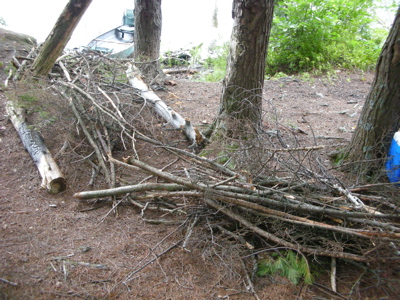 0807/FirewoodExcess0805.jpg