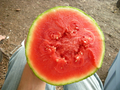0807/YummyWatermelon0805.jpg