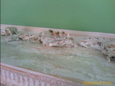 0906/fireplaceStripping63432.jpg 0906/fireplaceStripping63432.jpg