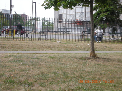 0907/OnTheOtherSideOfTheFence0909.jpg