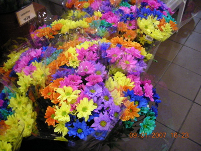 0907/RainbowFlowers0902.jpg