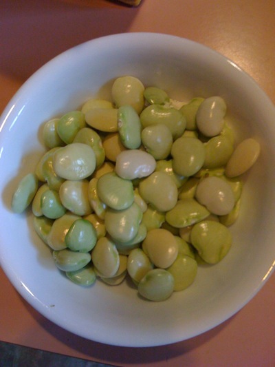 0908/FreshLimaBeans0906.jpg