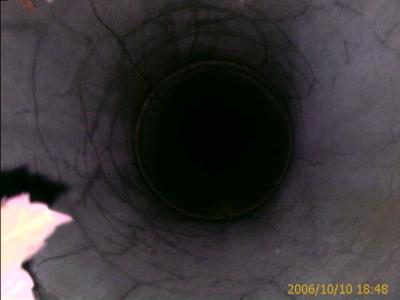 1006/24LinwoodLinedChimney2115.jpg