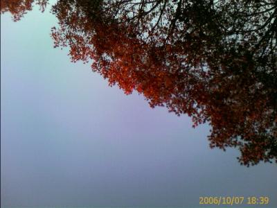 1006/LayingDown24LinwoodRoof22210.jpg