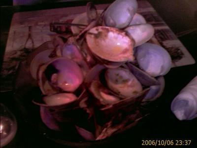 1006/clamshells5609.jpg