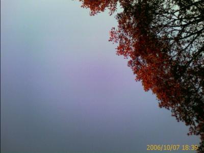 1006/layingDown24LinwoodROof2210.jpg