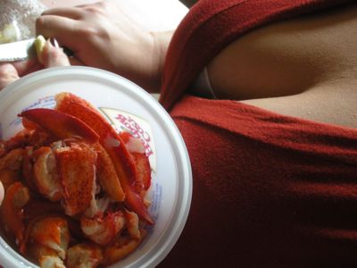 1007/LobsterCleavage1007.jpg