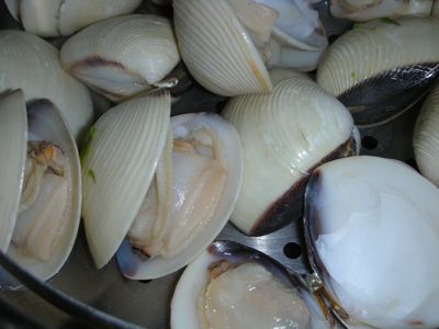 1107/WhiteStripeClams1107.jpg 1107/WhiteStripeClams1107.jpg