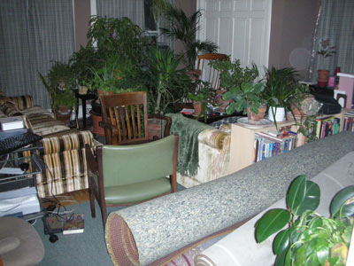 1206/den0450.jpg 1206/den0450.jpg