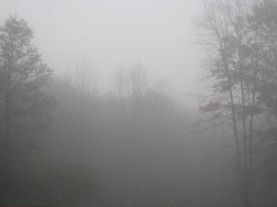 1108/2221106.jpg