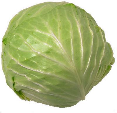 0109/Cabbage0110.jpg