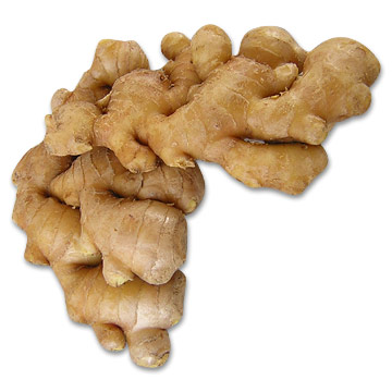 0109/Ginger0110.jpg 0109/Ginger0110.jpg