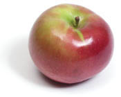 0109/Macintosh0110.jpg 0109/Macintosh0110.jpg
