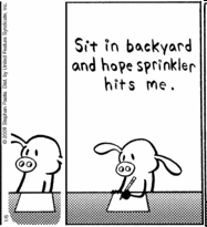 0109/Pig40106.png